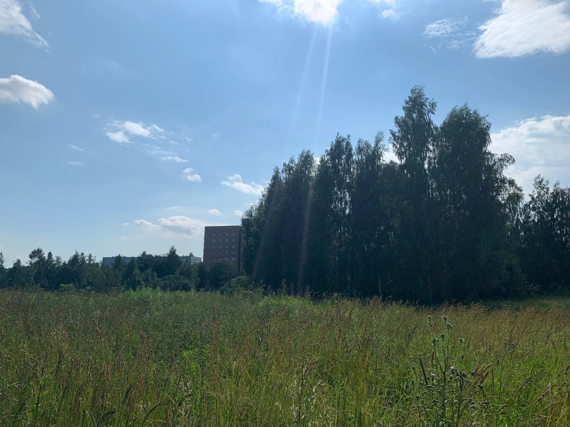 Маршрут «Акулово — Абрамцево», 3,5 км