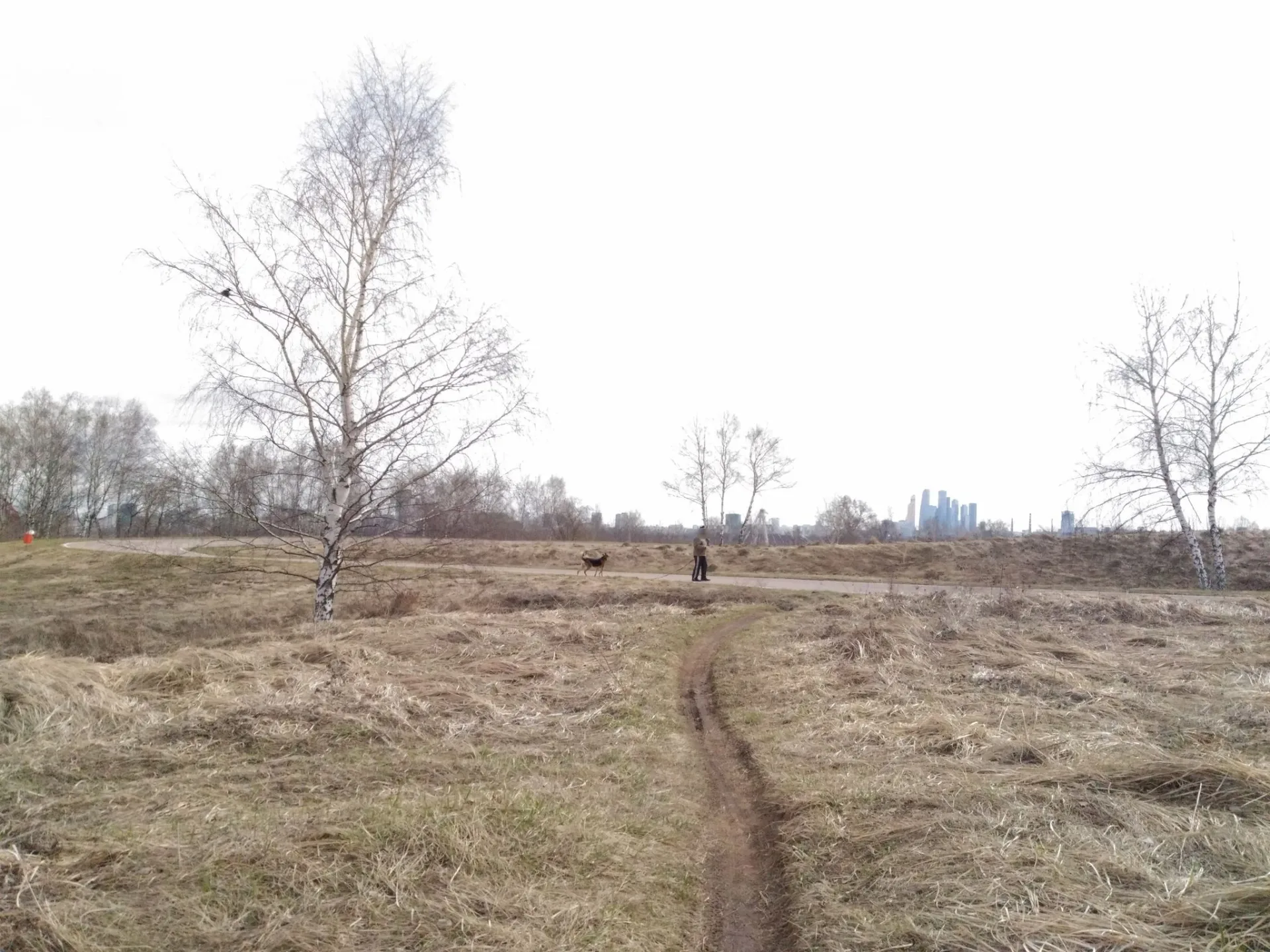 Маршрут «Акулово — Татарово», 31,1 км