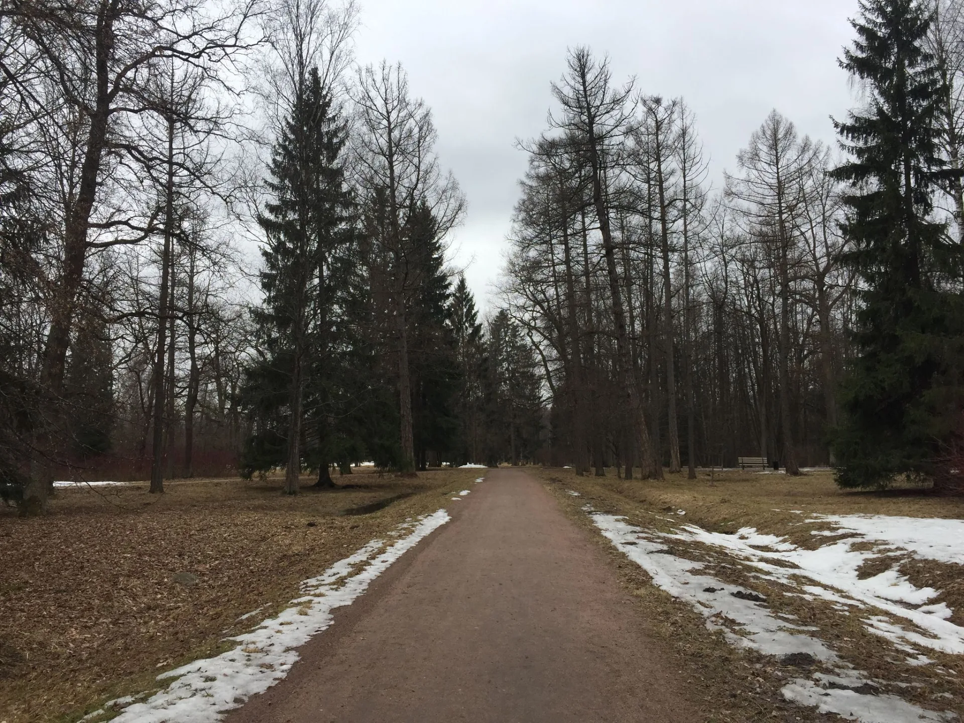 Маршрут «Александровский парк — Баболовский парк», 2,2 км