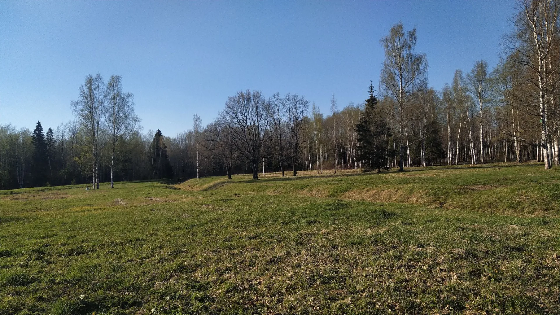 Маршрут «Александровский парк — Баболовский парк», 11,2 км