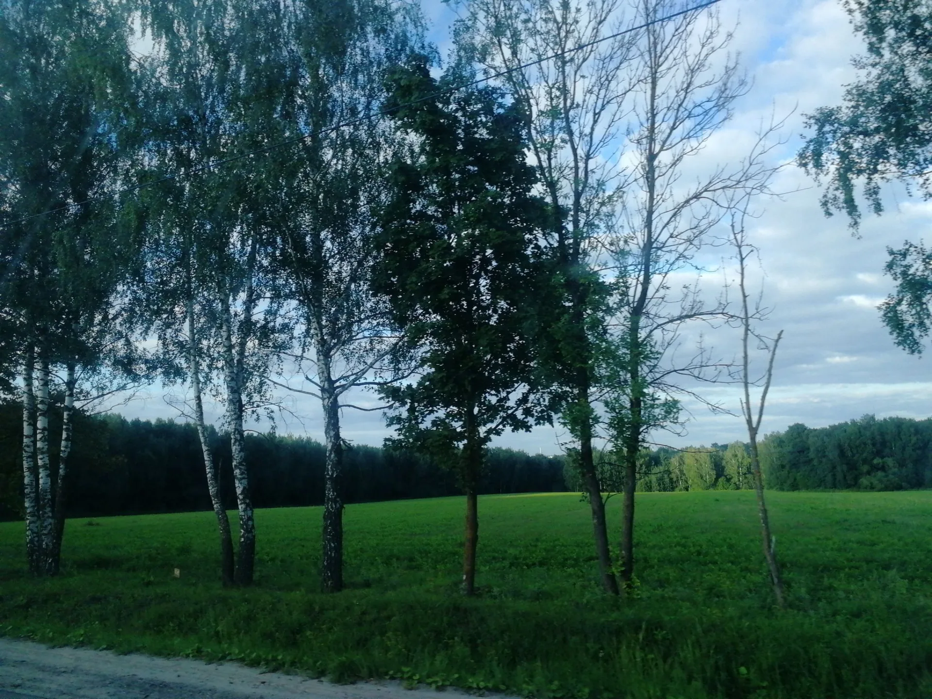Маршрут «Анненки — Красный городок», 2,3 км