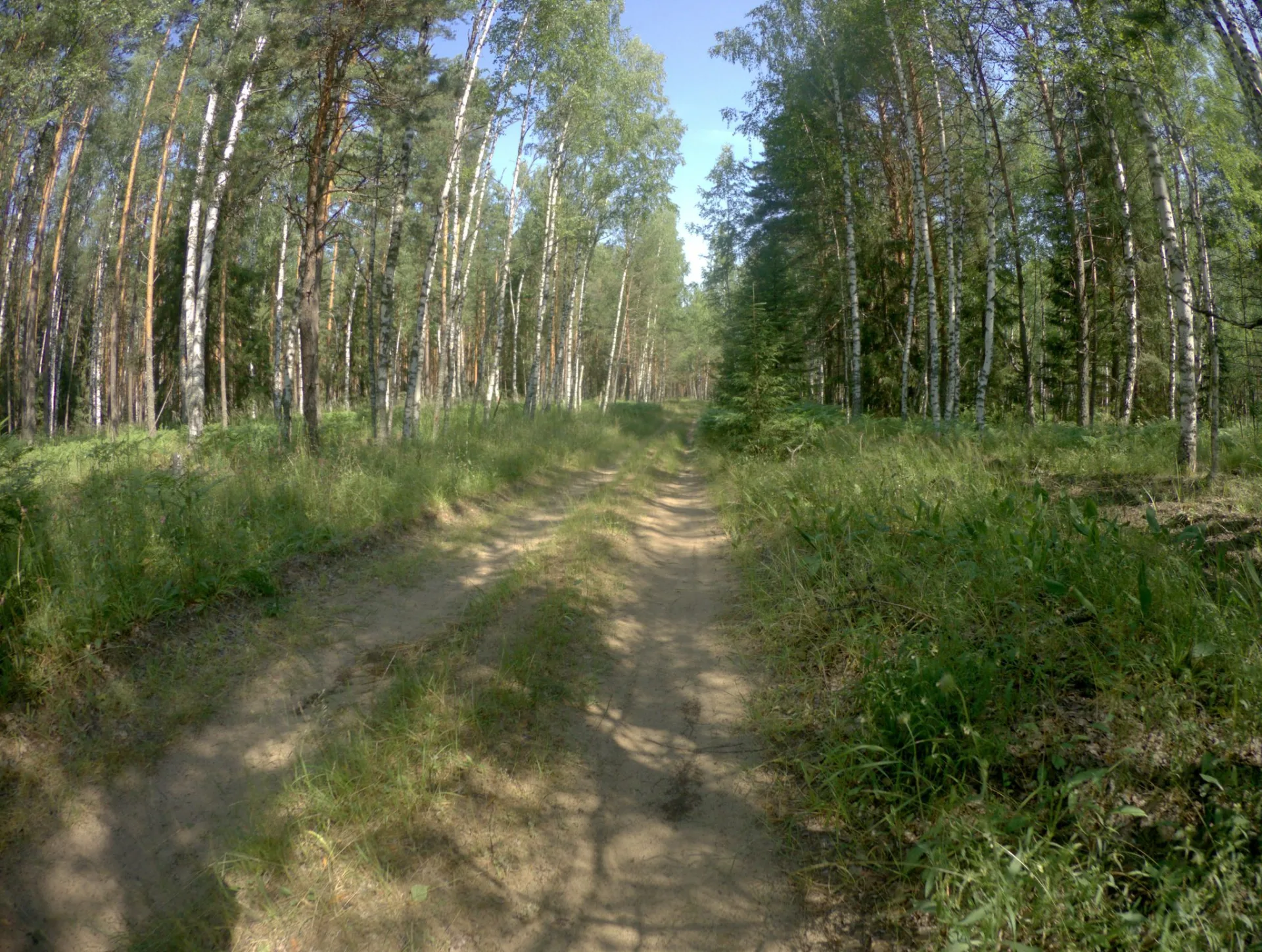 Маршрут «Артемово — Кшара», 16,1 км