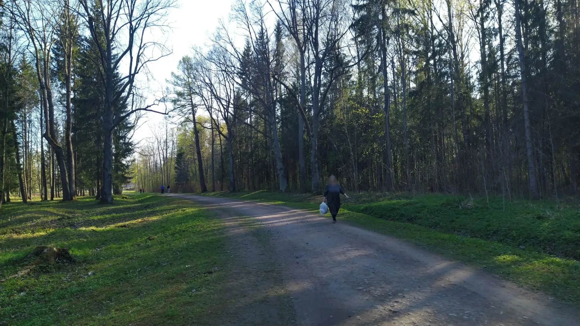 Маршрут «Баболовский парк — Александровский парк», 6,4 км