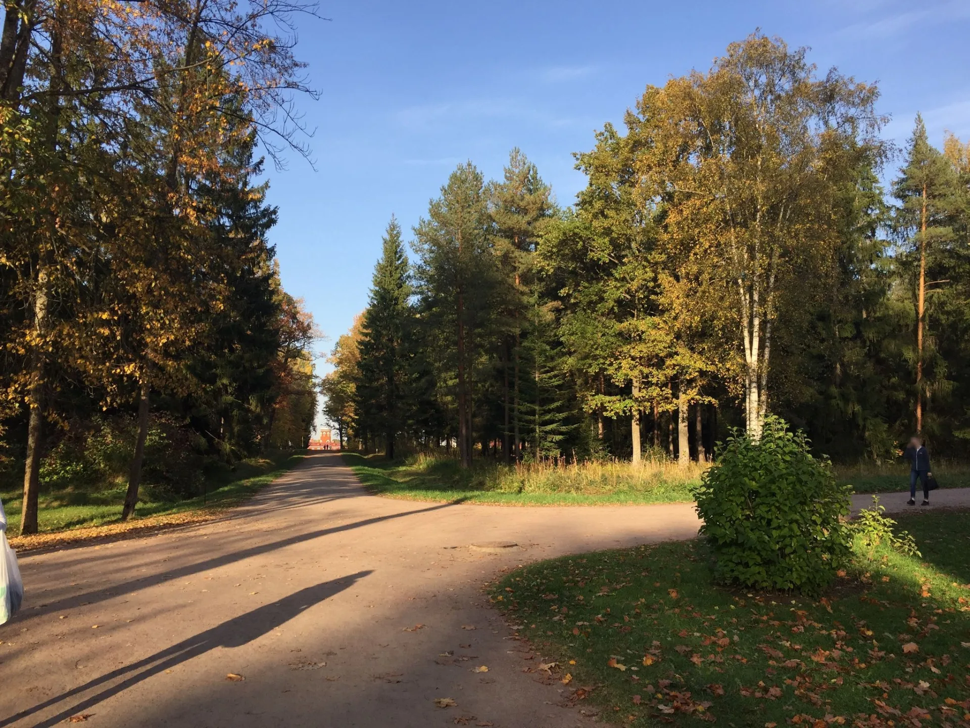 Маршрут «Баболовский парк — Александровский парк», 18,0 км