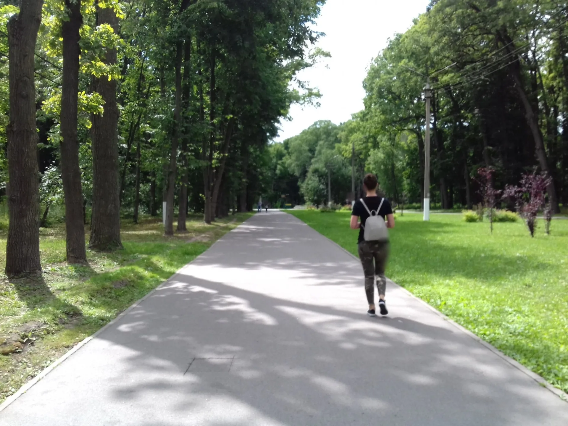 Маршрут «Барсуки — ЦПКиО», 36,1 км