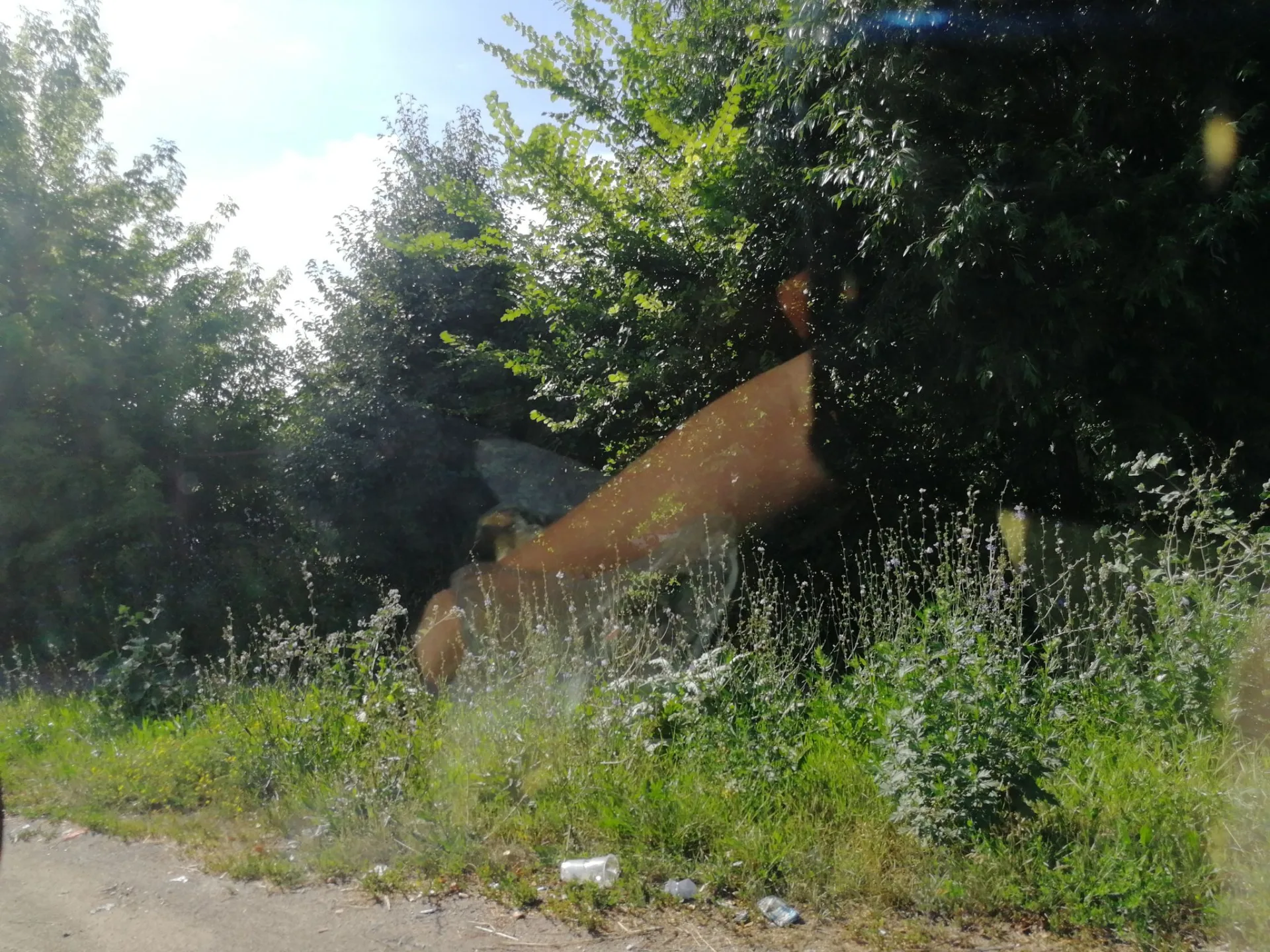 Маршрут «Богородицк», 1,4 км