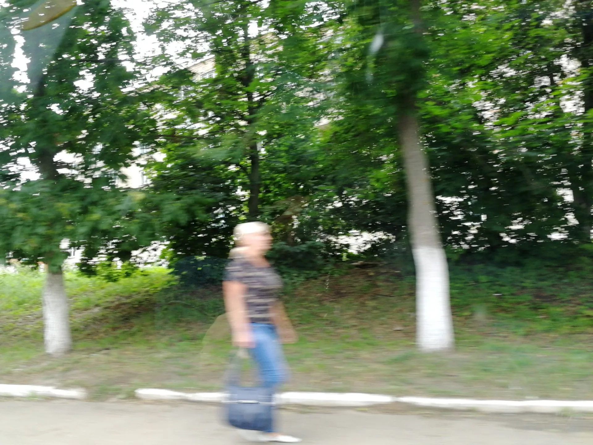 Маршрут «Богородицк», 2,1 км