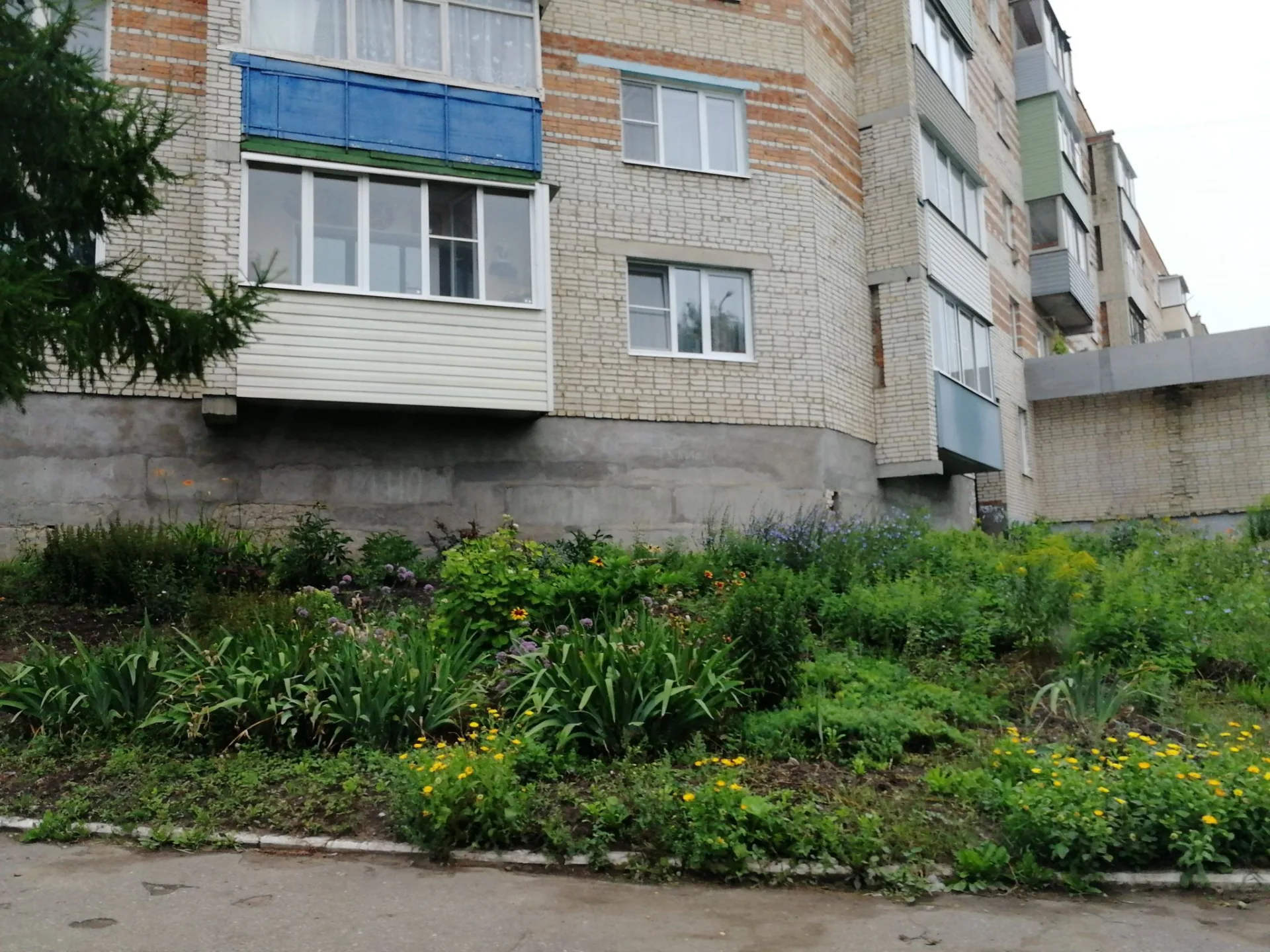 Маршрут «Богородицк», 0,6 км