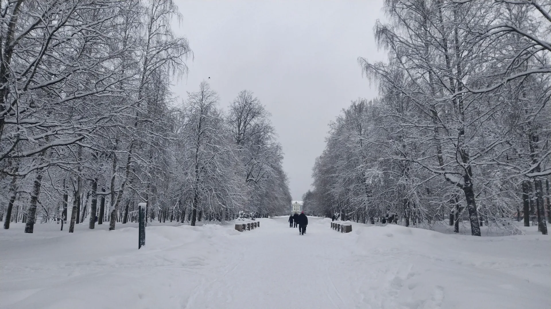 Маршрут «Большая Кузьминка — Драконов мост», 6,0 км