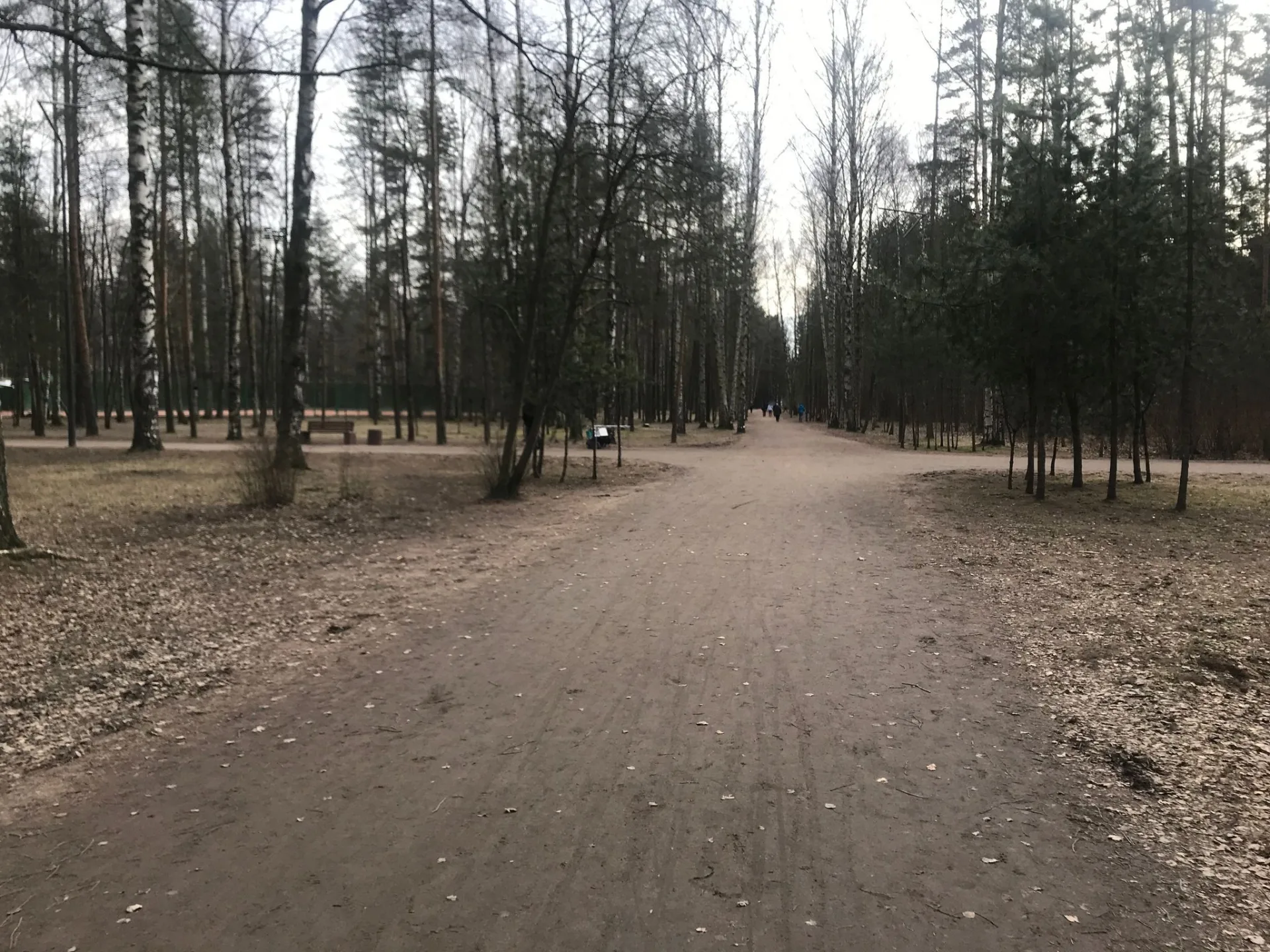 Маршрут «Бугры — Озеро», 6,4 км
