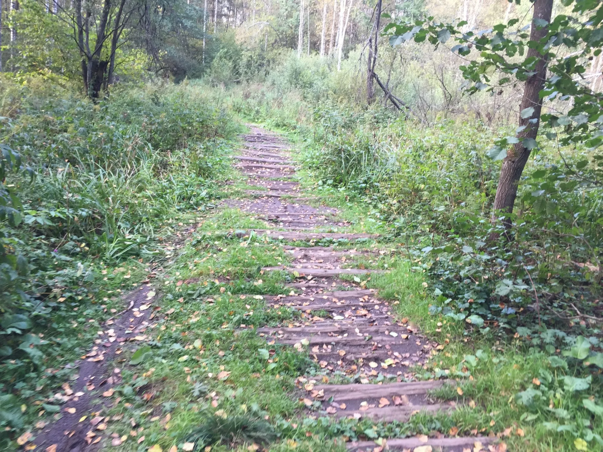 Маршрут «Черкизово — Богородское», 15,7 км