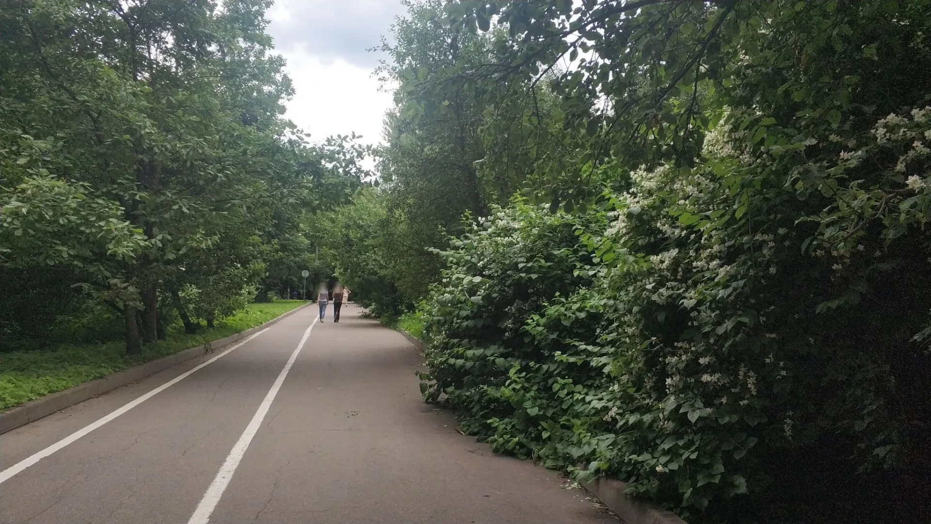 Маршрут «Черкизово — Троицкое», 23,2 км