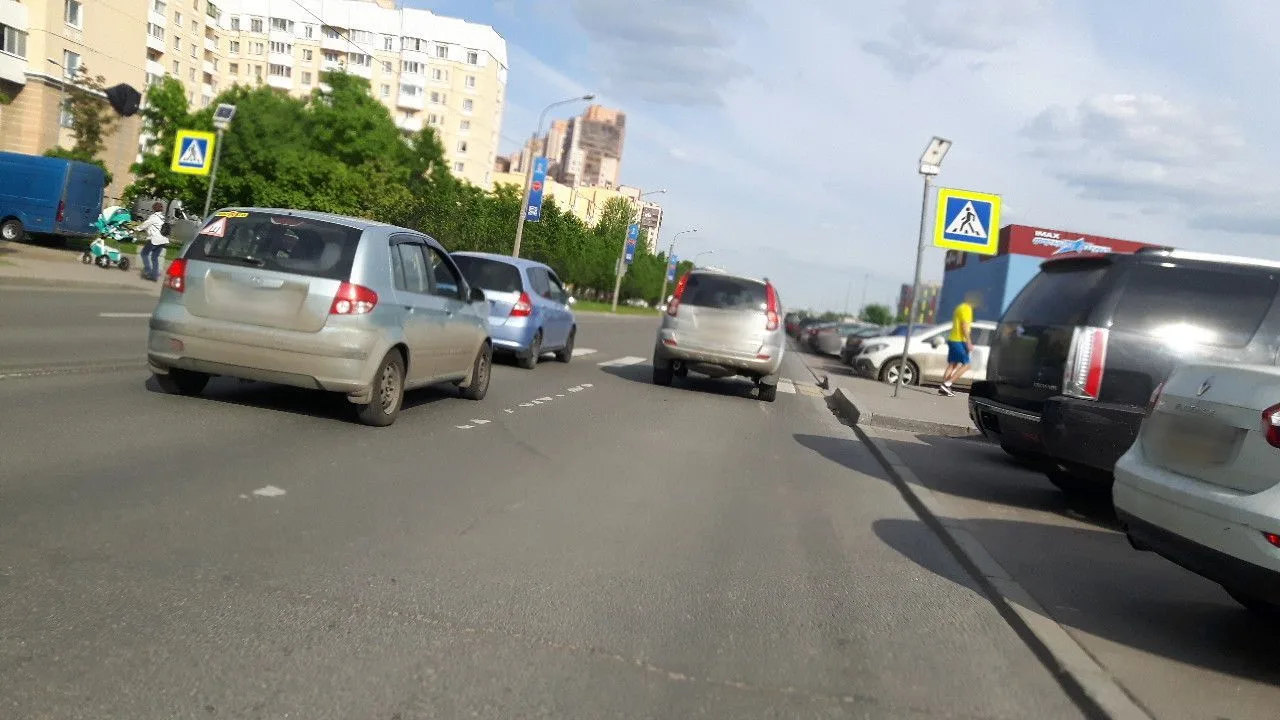 Маршрут «Дибуны — Кушелевка», 31,3 км