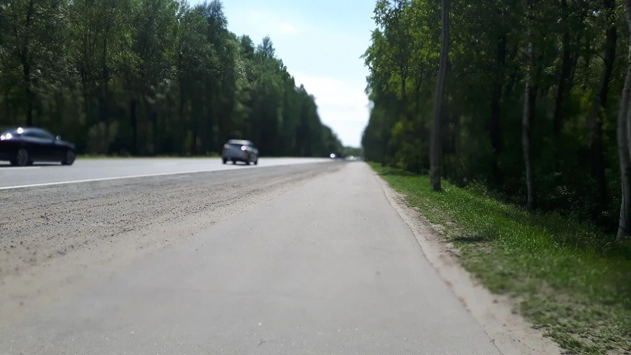 Маршрут «Дибуны — Зеленогорск», 22,4 км