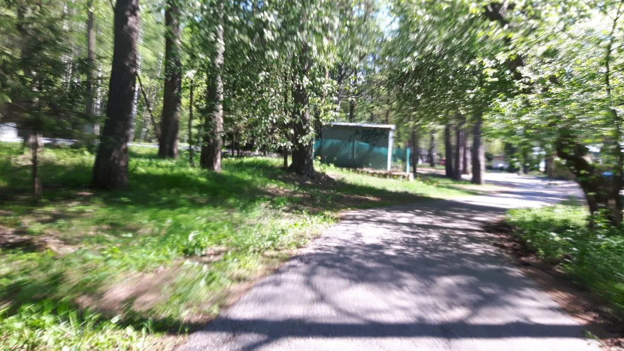 Маршрут «Дибуны — Зеленогорск», 37,3 км