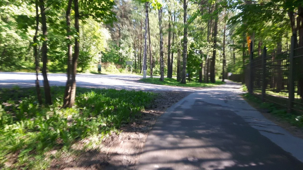 Маршрут «Дибуны — Зеленогорск», 41,0 км