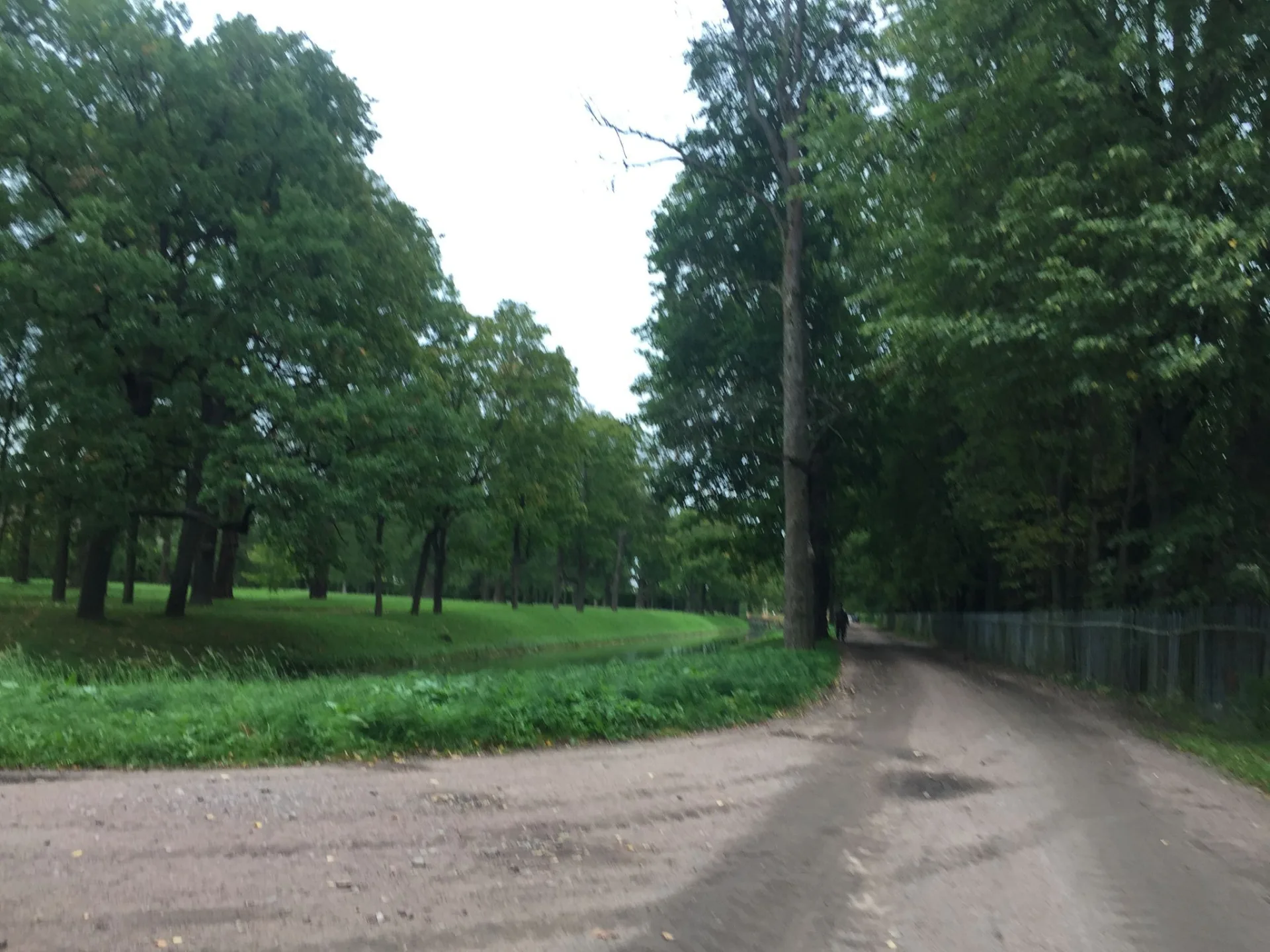 Маршрут «Дворцовая площадь — Павловск», 36,5 км