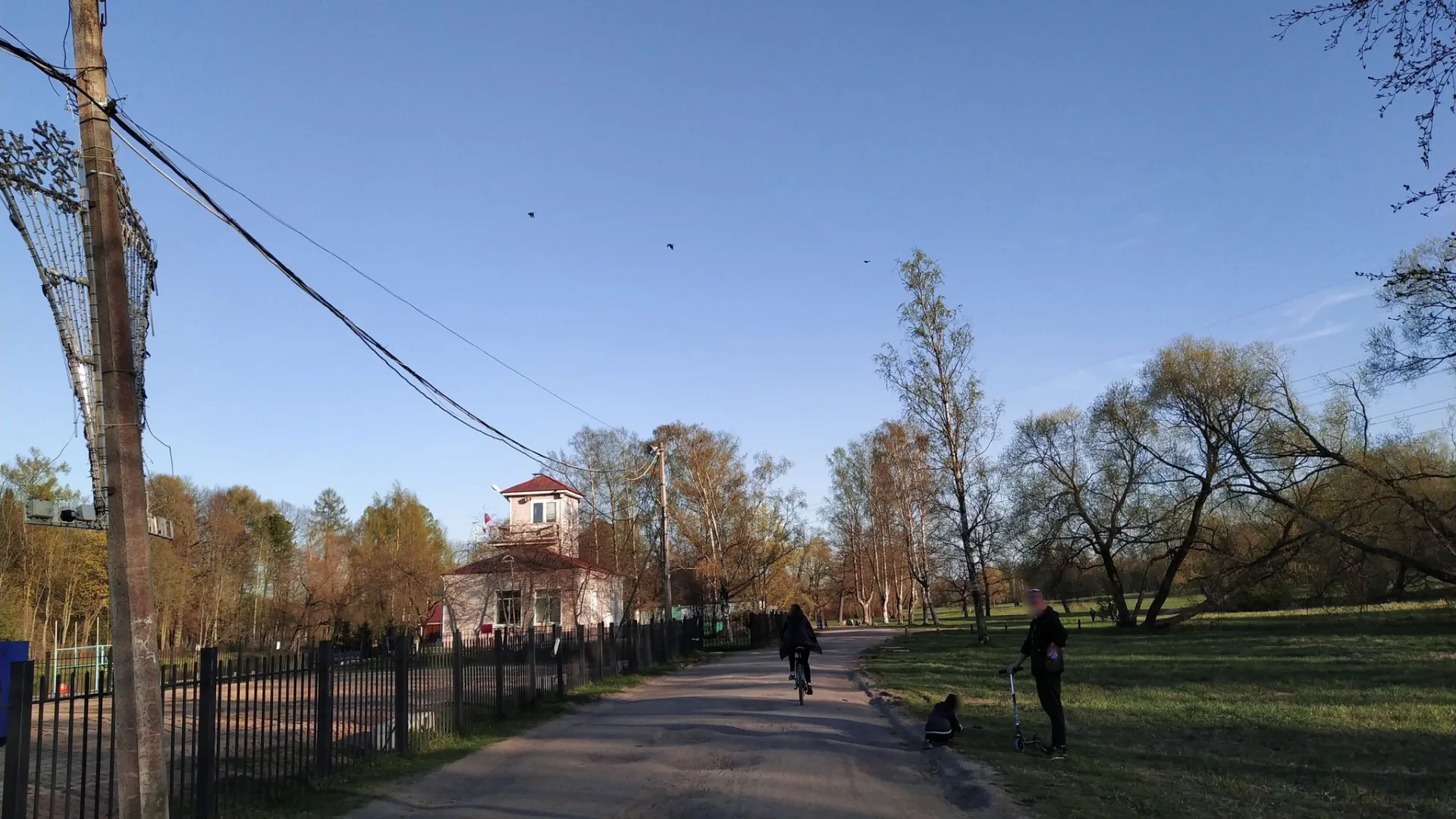 Маршрут «Дворцовая площадь — Павловск», 45,0 км