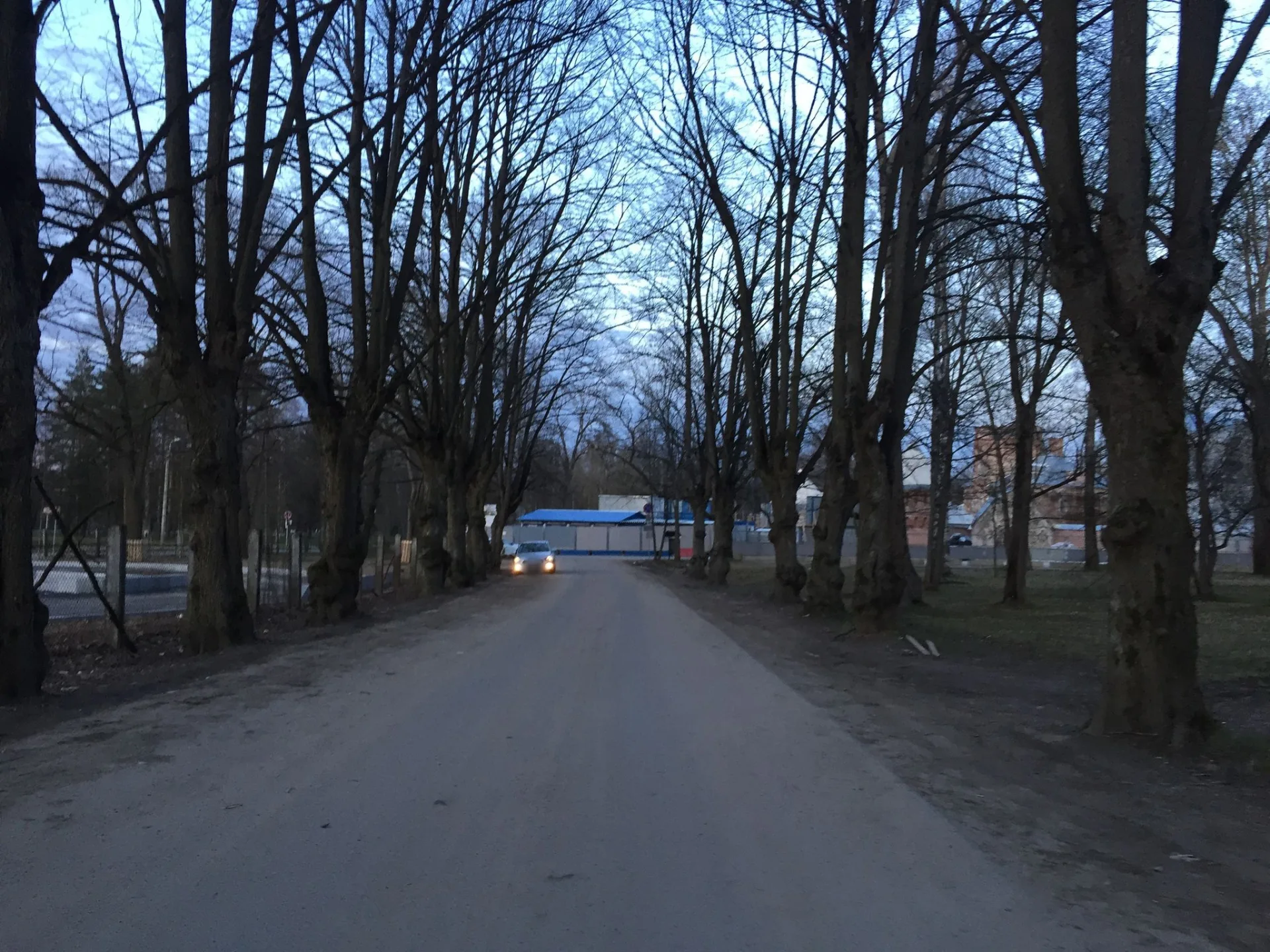 Маршрут «Египетские ворота — Александровский дворец», 14,0 км