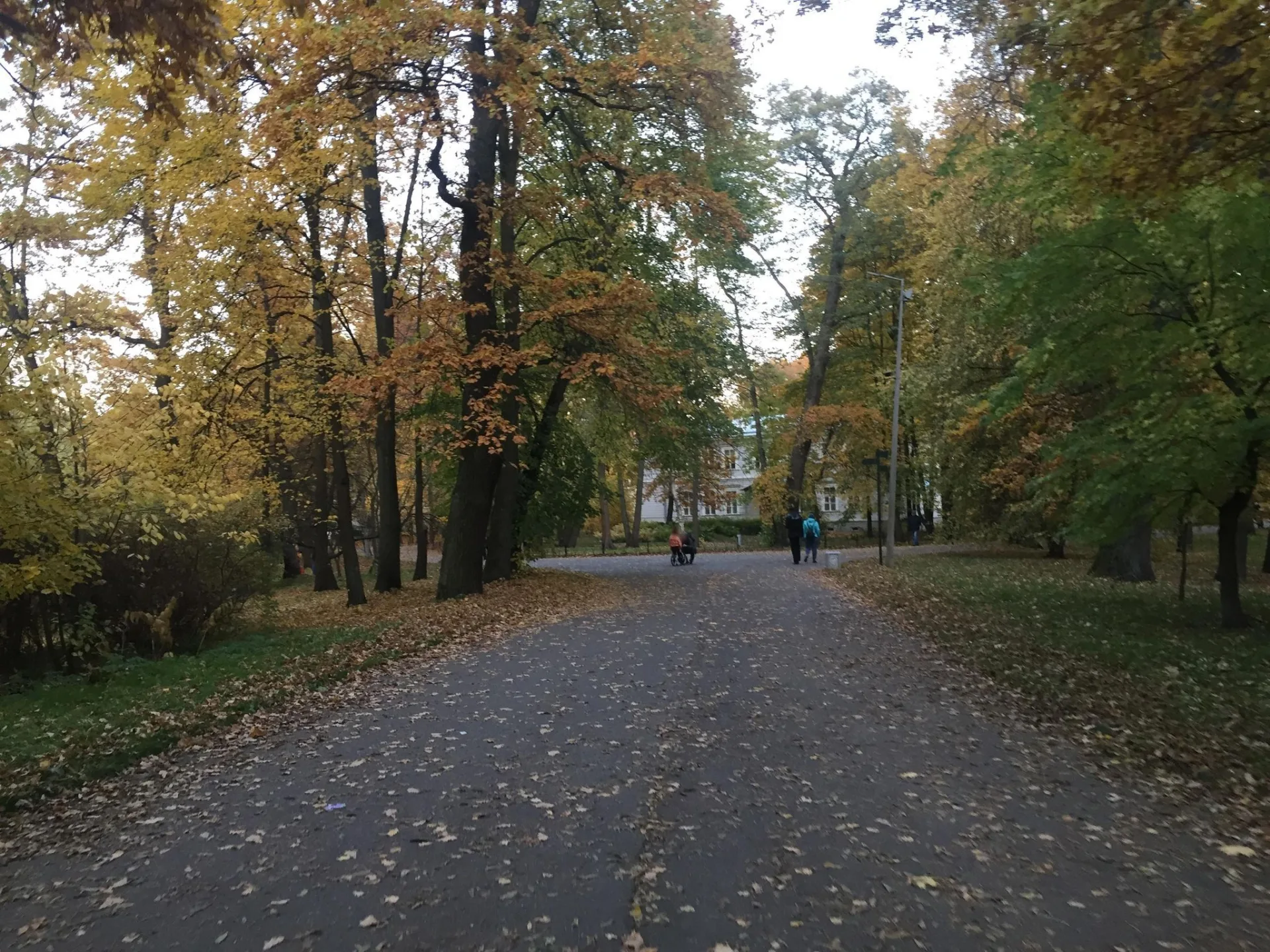 Маршрут «Елагин остров», 3,3 км