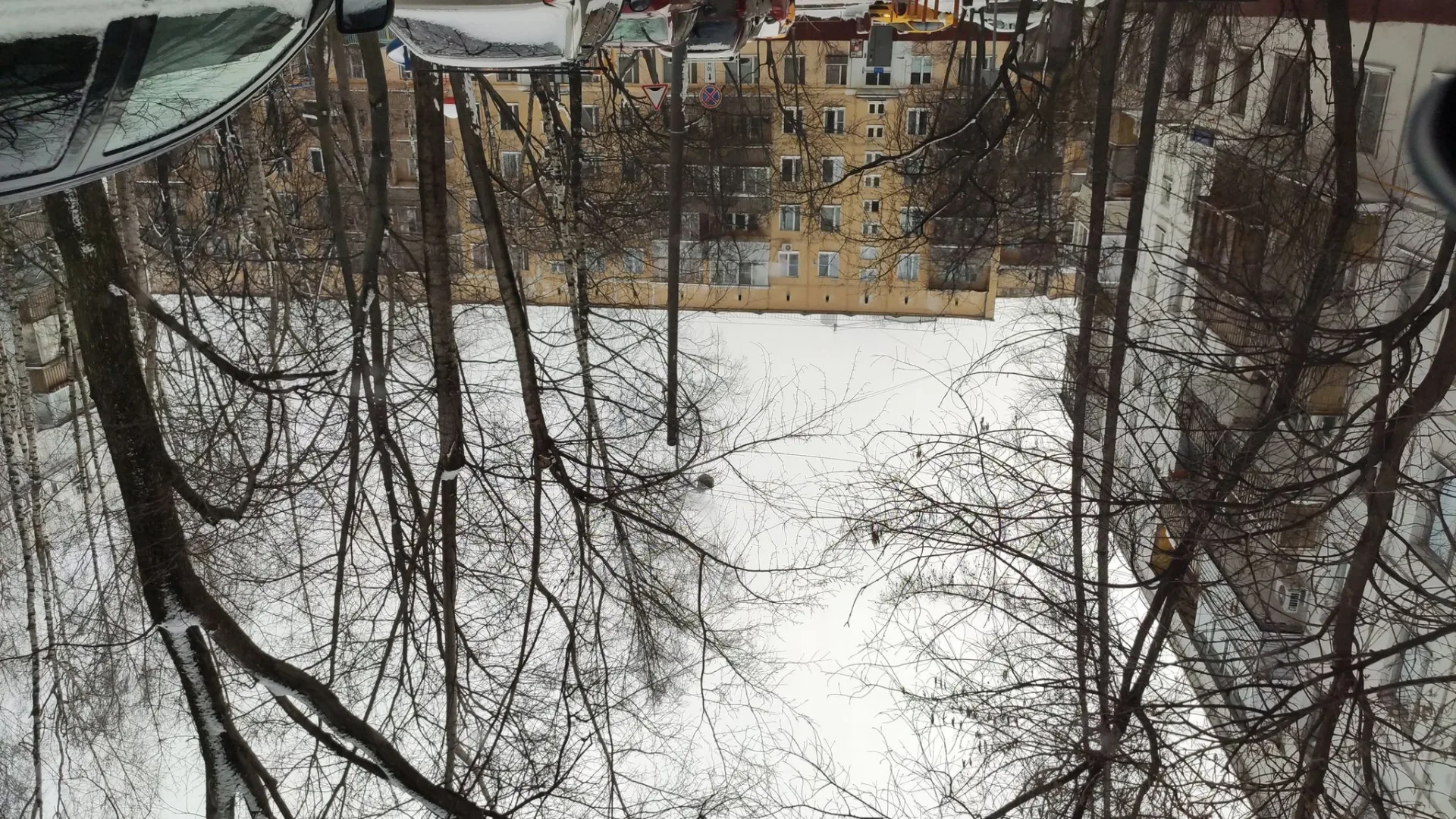 Маршрут «Флора — Потылиха»