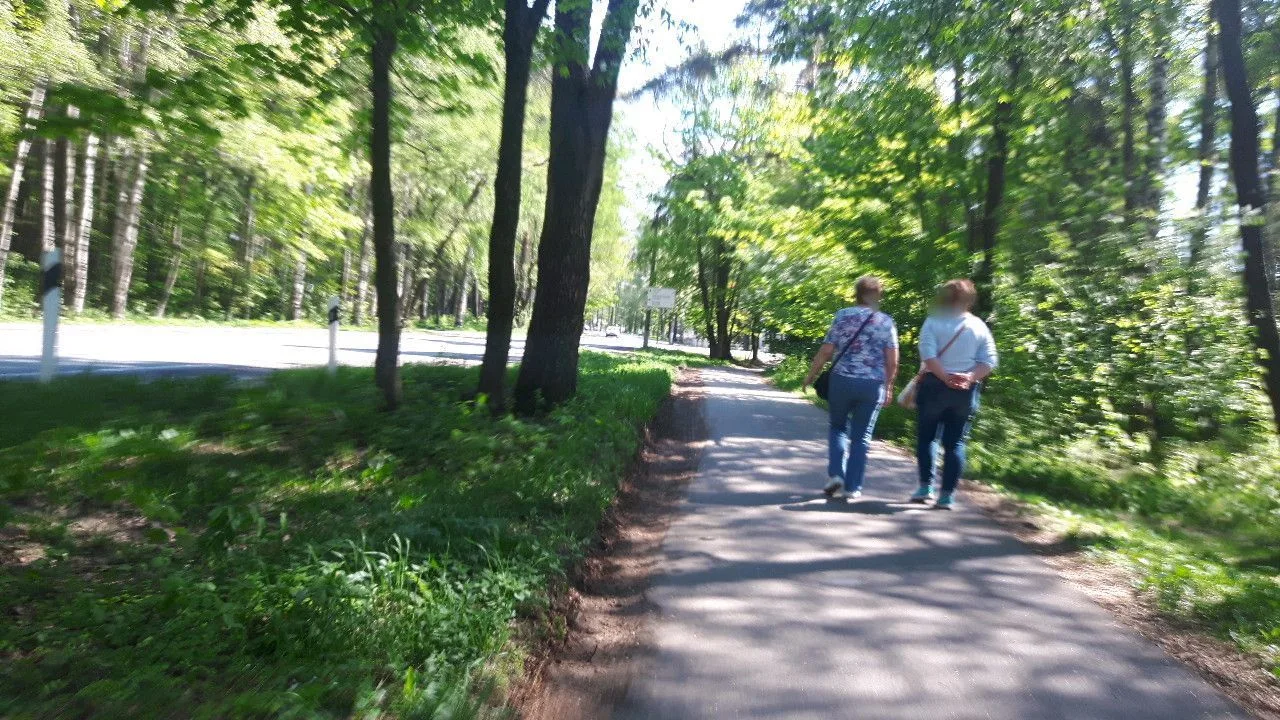 Маршрут «Фото-прогулка в Репино», 2,7 км