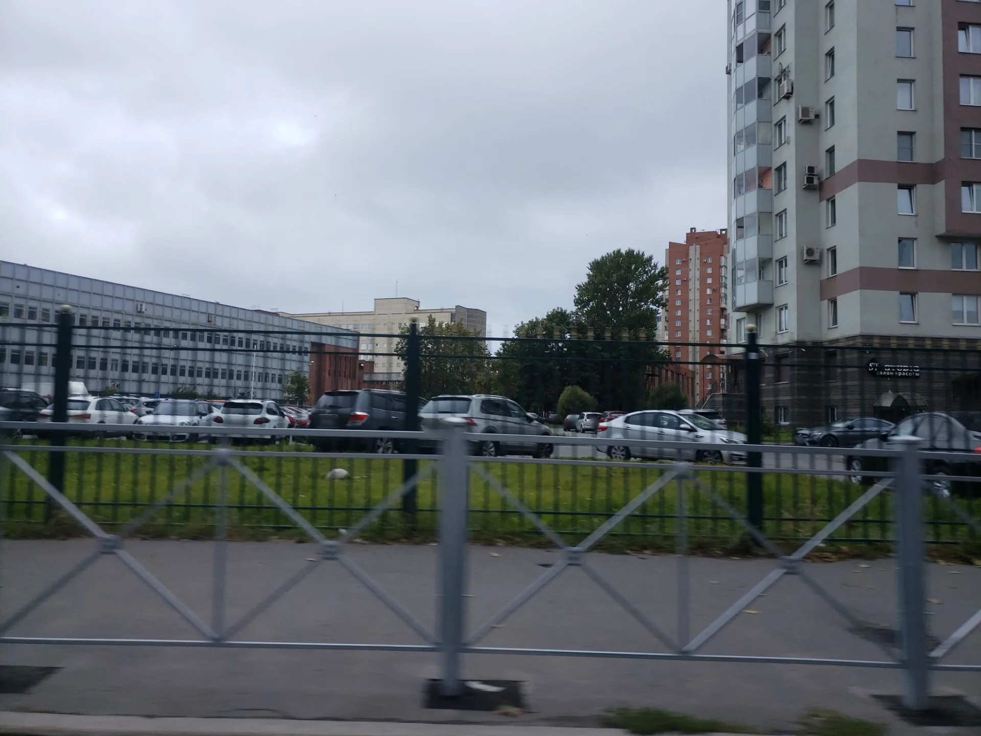Маршрут «Галерная гавань — устье Смоленки», 3,0 км