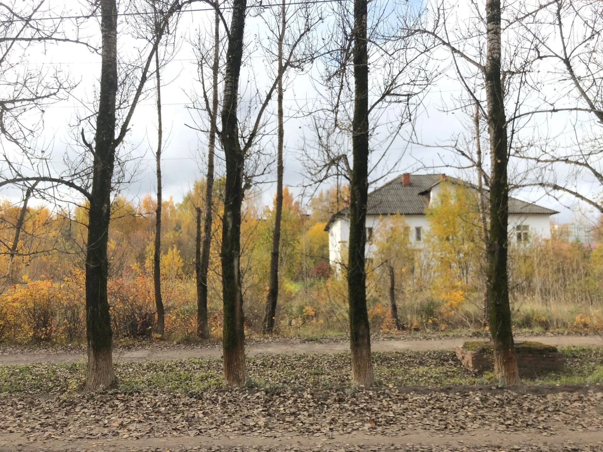 Маршрут «Губино — Ильченко», 6,2 км