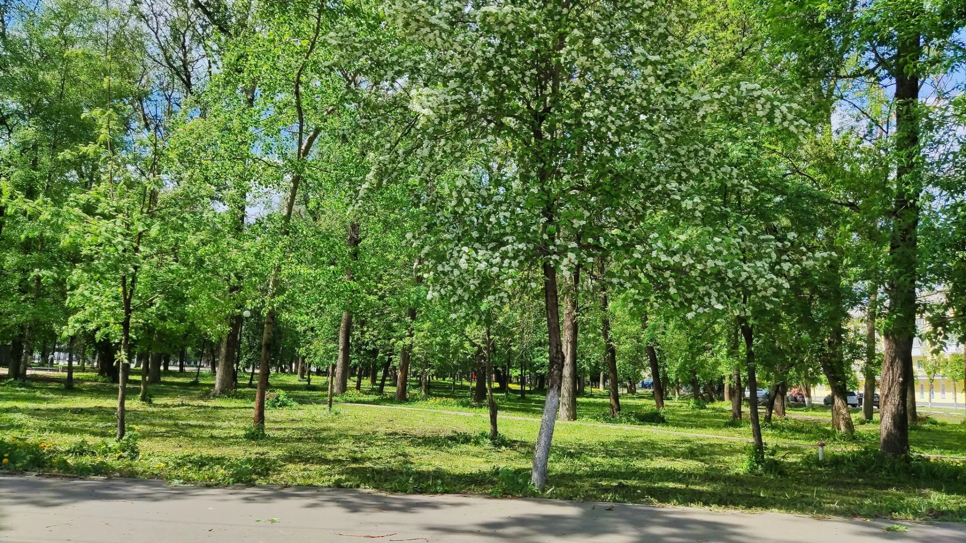 Маршрут «Губино — Ильченко», 10,4 км