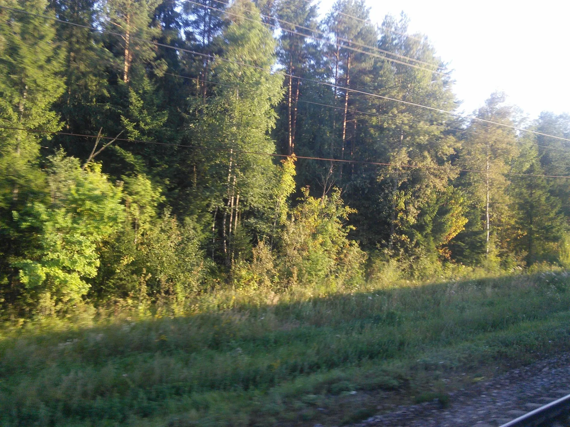 Маршрут «Игнатьево», 19,2 км