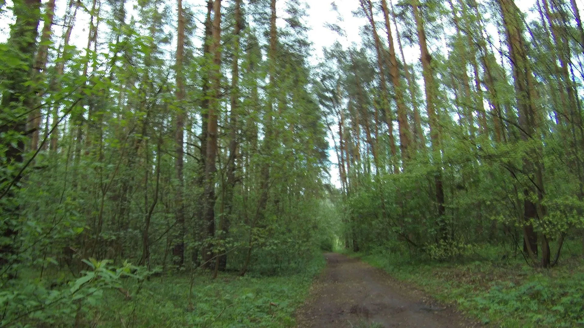 Маршрут «Исаково — Кратово», 66,8 км