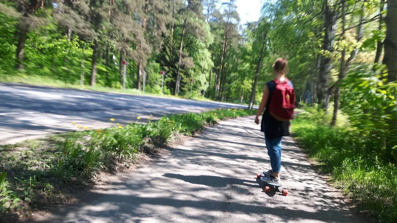 Маршрут «Из Рощино в Солнечное», 52,9 км
