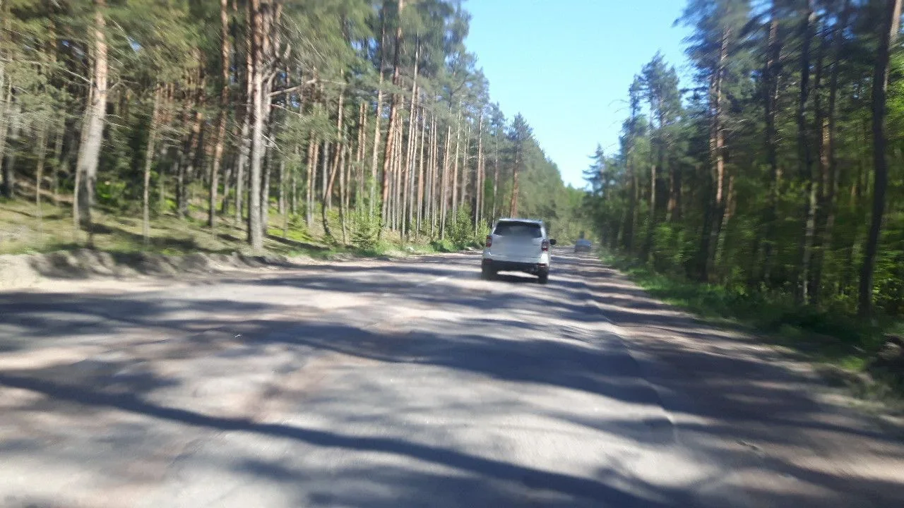 Маршрут «Из Выборга в Зеленогорск», 65,1 км