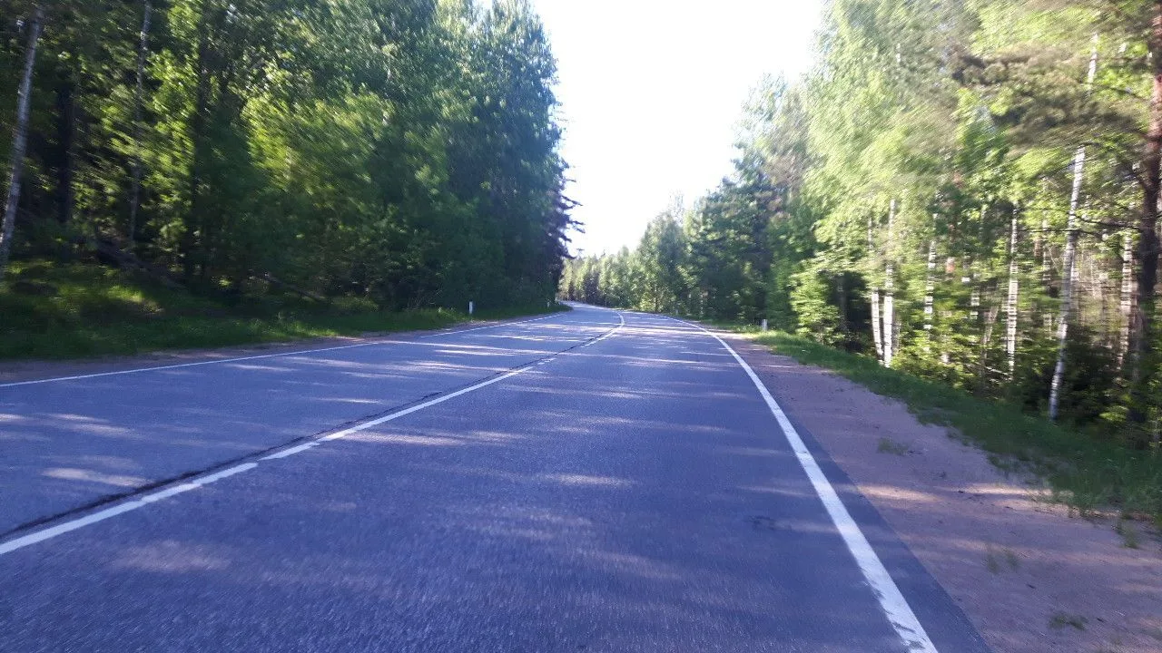 Маршрут «Калище — Кургальский заповедник», 30,7 км