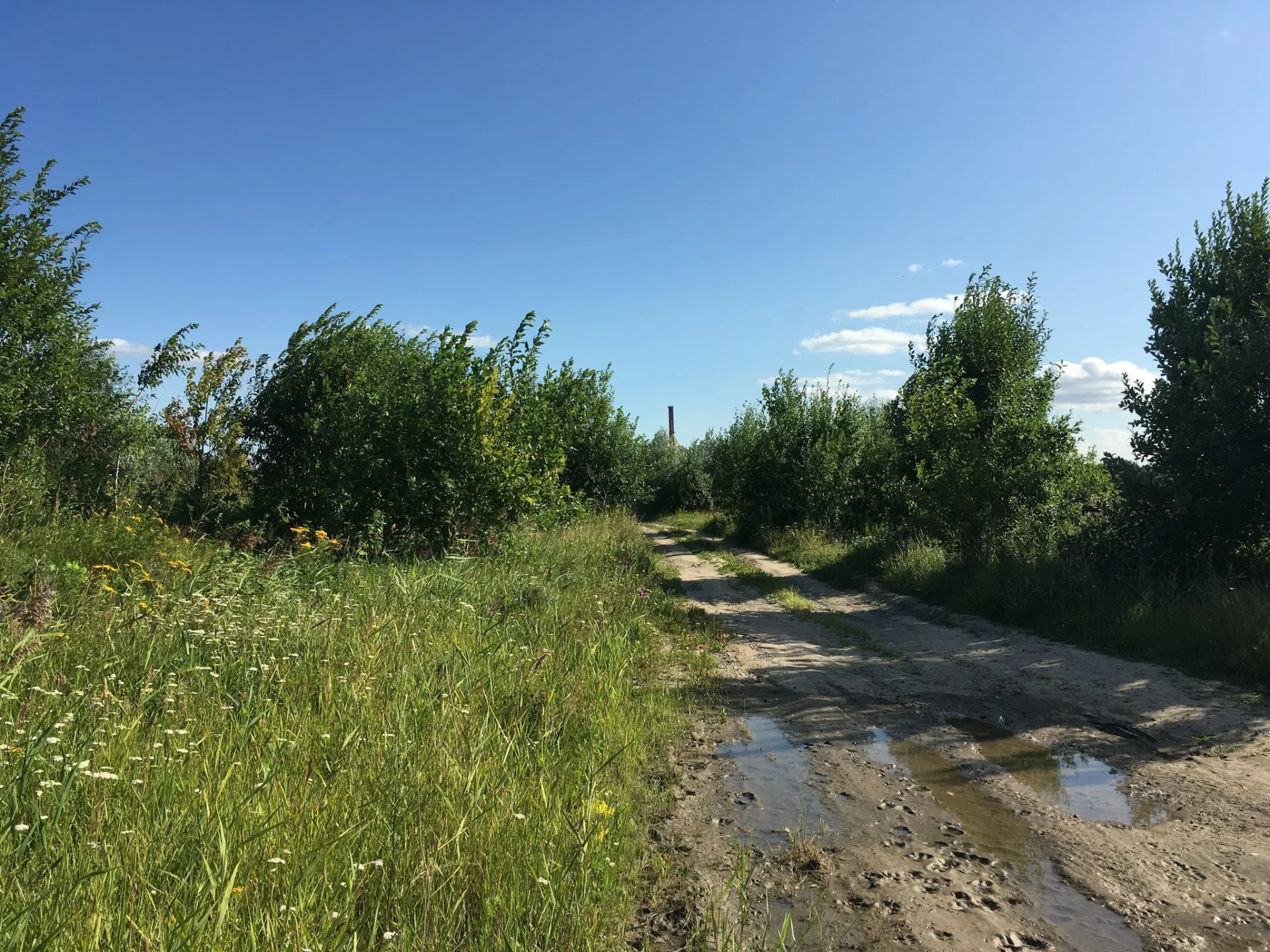 Маршрут «Канонерский остров: юго-запад — северо-восток», 0,0 км