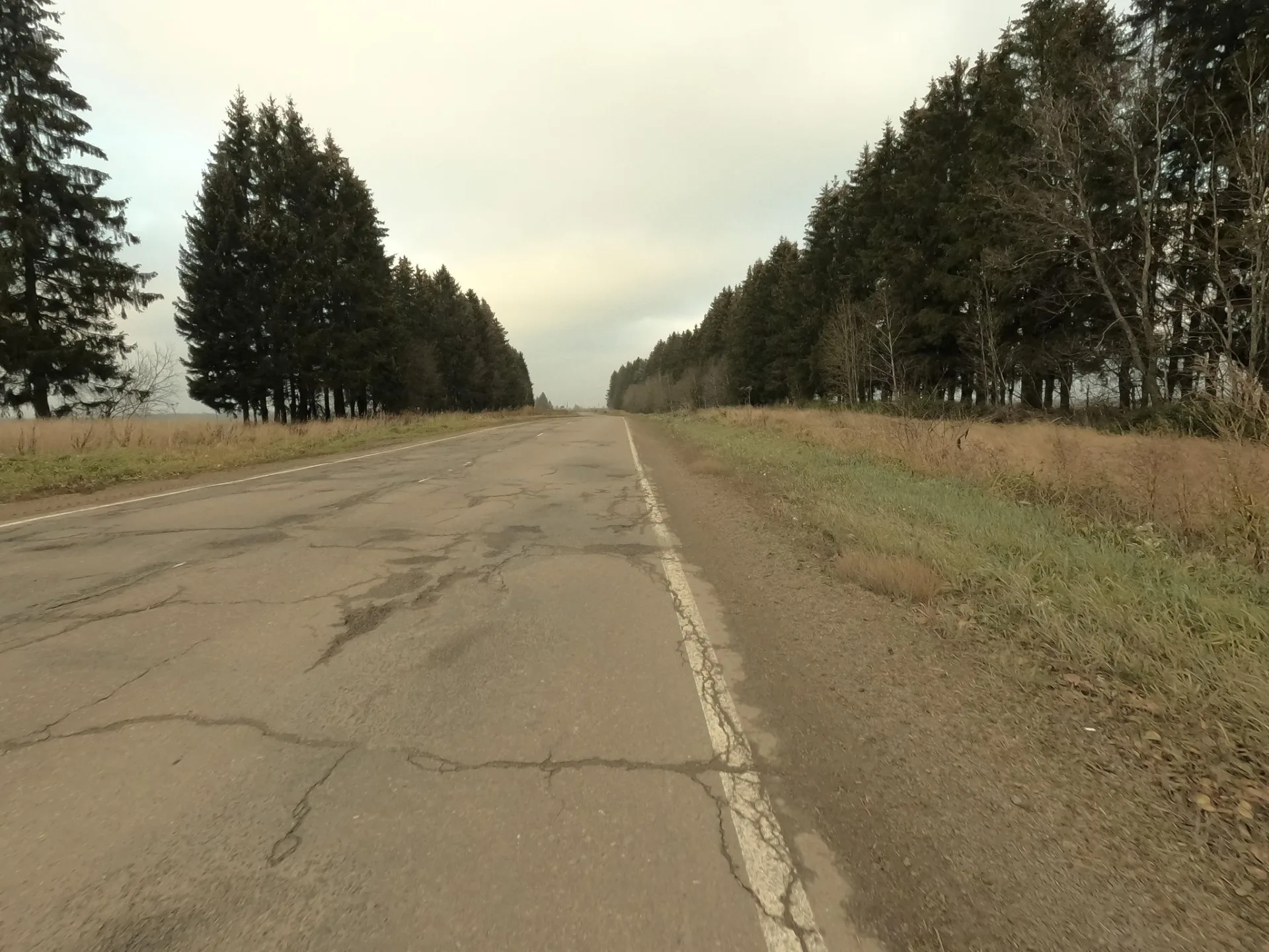 Маршрут «Кировск — Сиверский», 103,2 км