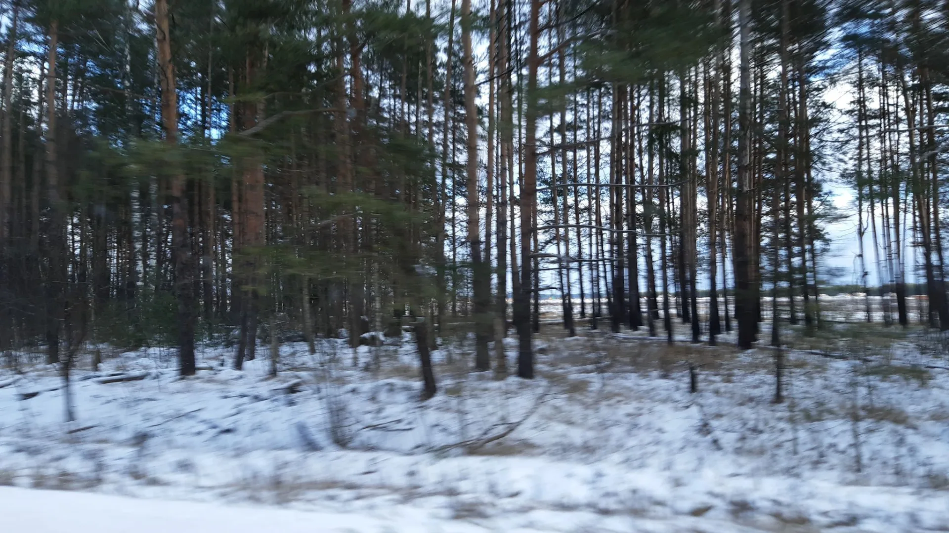Маршрут «Киржач — Карабаново», 22,9 км