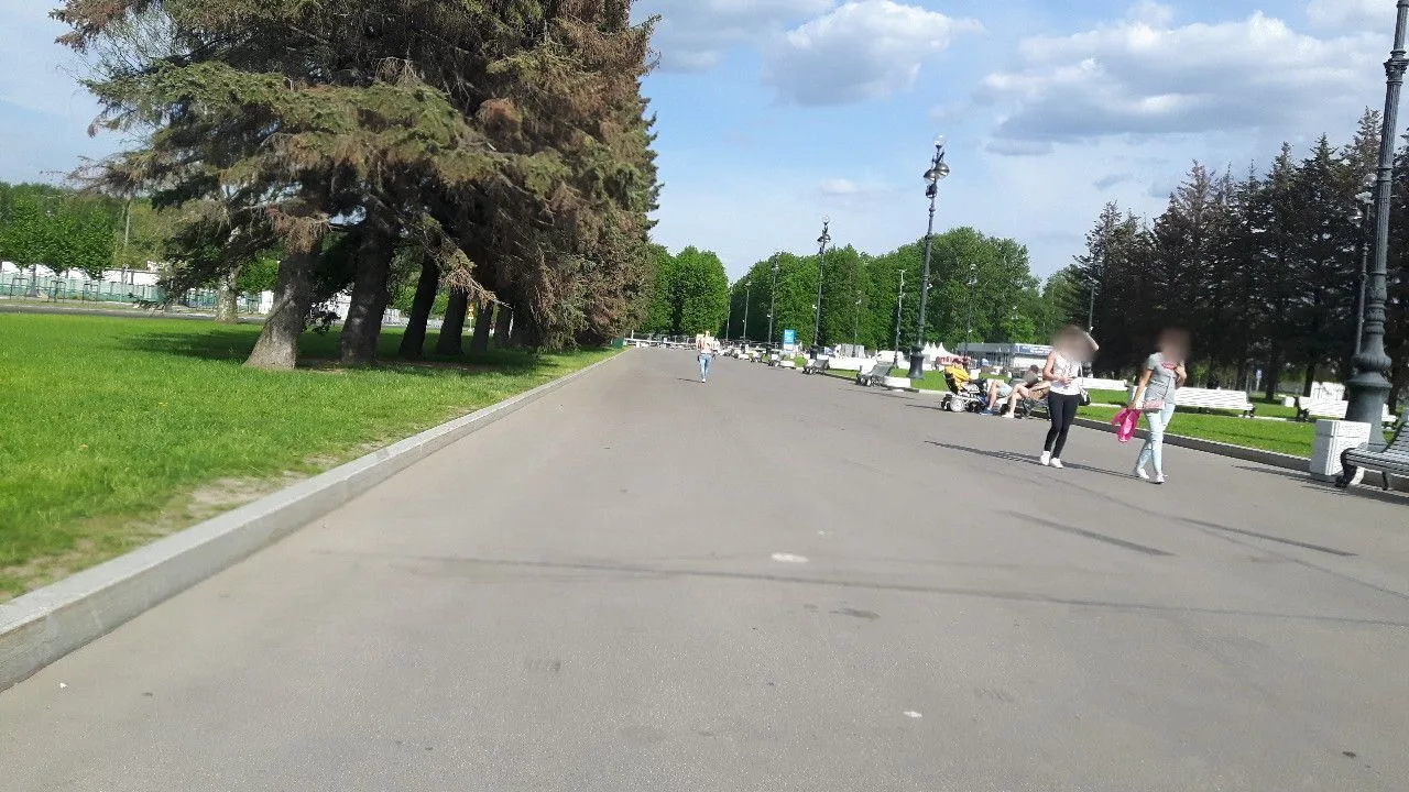 Маршрут «Коломяги — Лахта Центр», 53,2 км