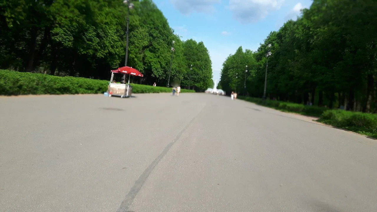 Маршрут «Коломяги — Лисий Нос», 22,8 км