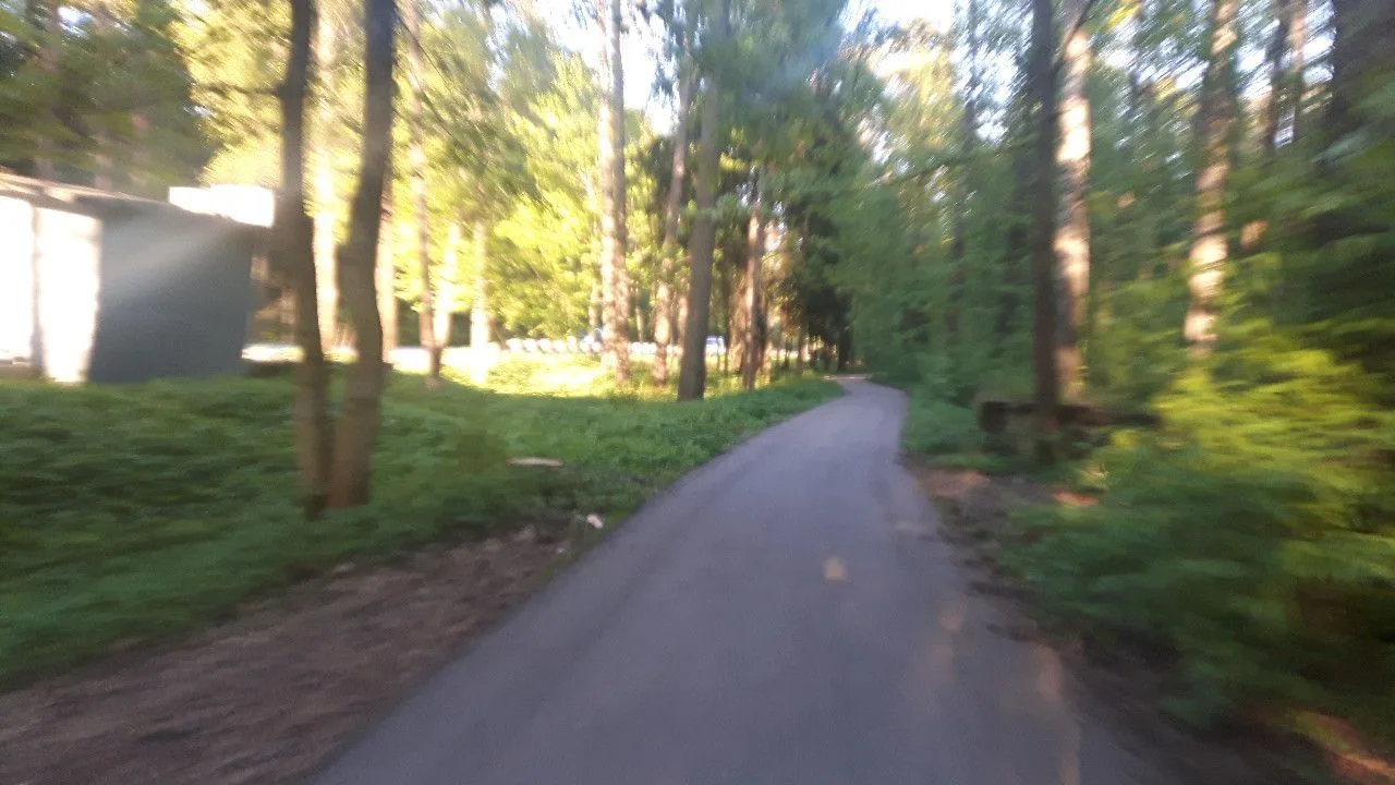 Маршрут «Коломяги», 46,2 км