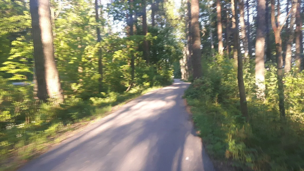 Маршрут «Коломяги», 52,6 км