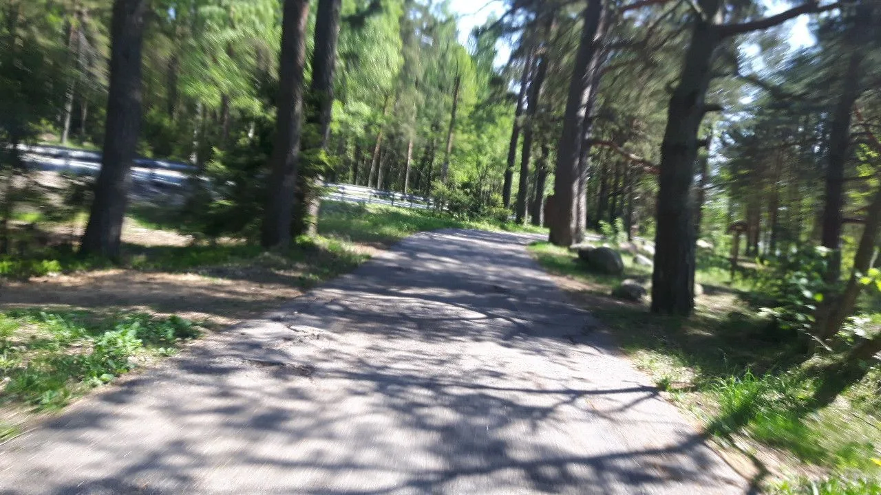 Маршрут «Коломяги», 37,3 км