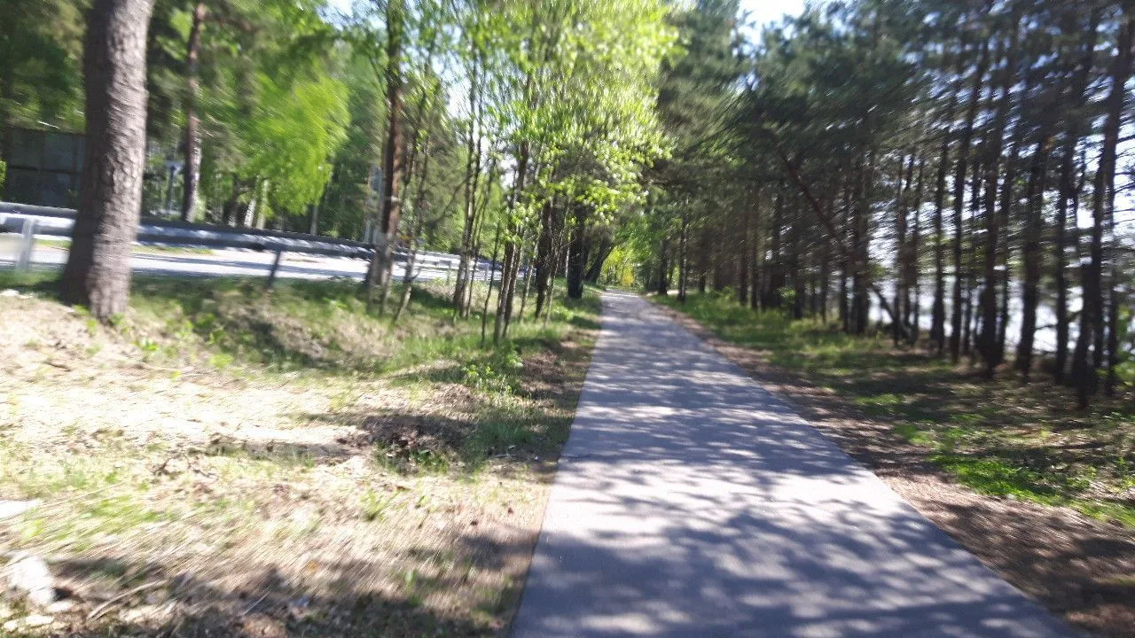 Маршрут «Комарово — Солнечное», 13,1 км