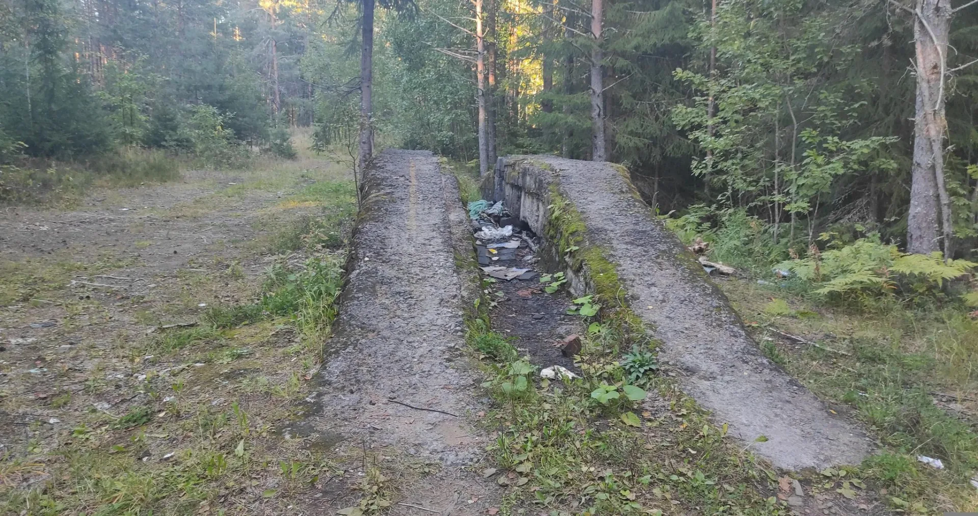 Маршрут «Комарово», 2,7 км