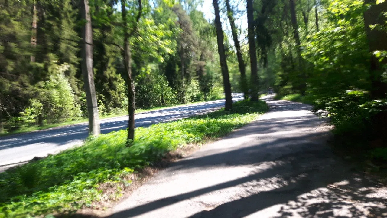 Маршрут «Комарово — Зеленогорск», 7,4 км