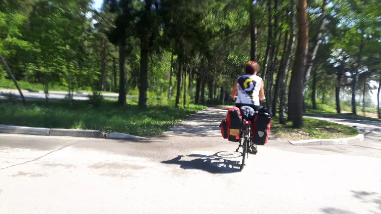 Маршрут «Комарово — Зеленогорск», 6,0 км