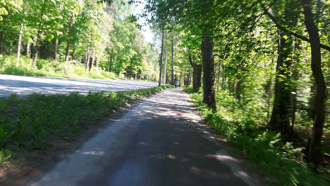 Маршрут «Комарово — Зеленогорск», 9,9 км
