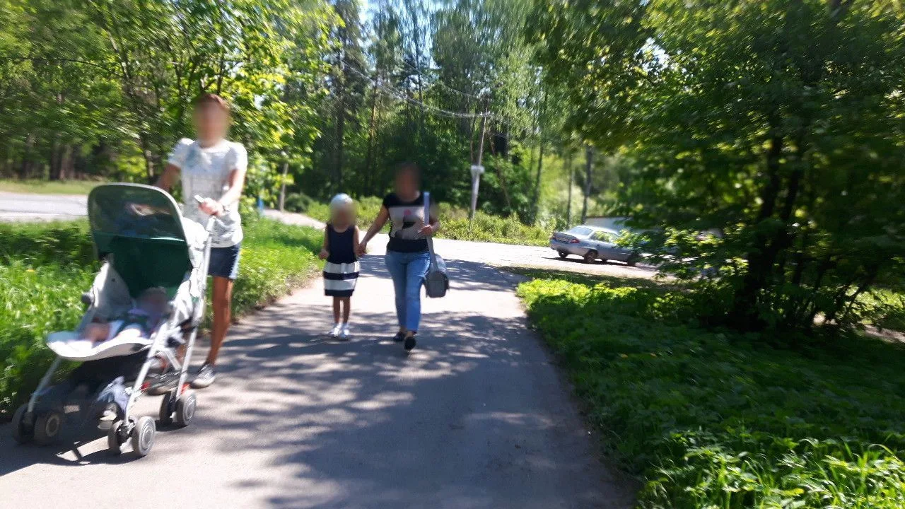 Маршрут «Комарово — Зеленогорск», 24,5 км