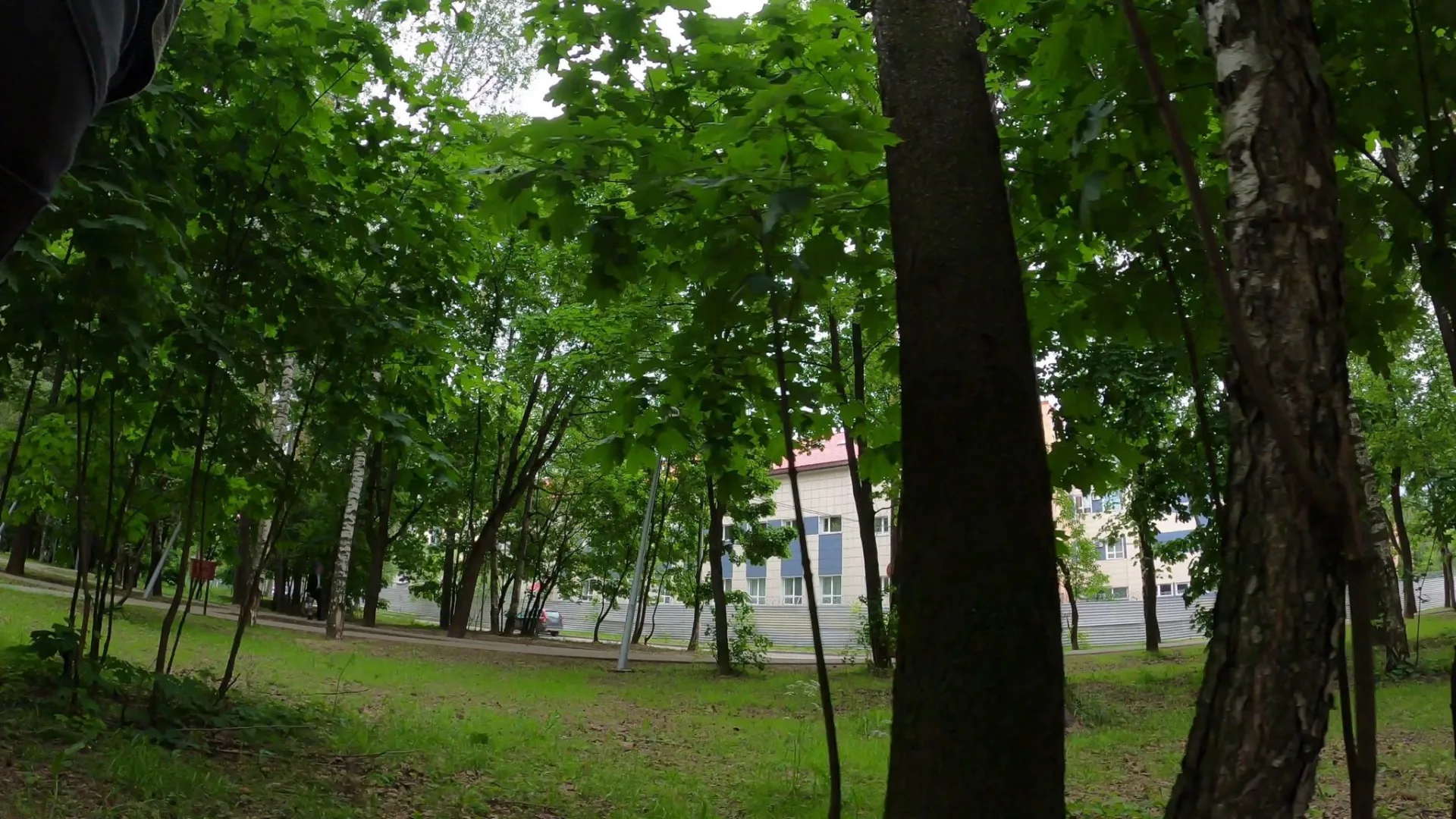 Маршрут «Королев — Цернское озеро», 65,5 км
