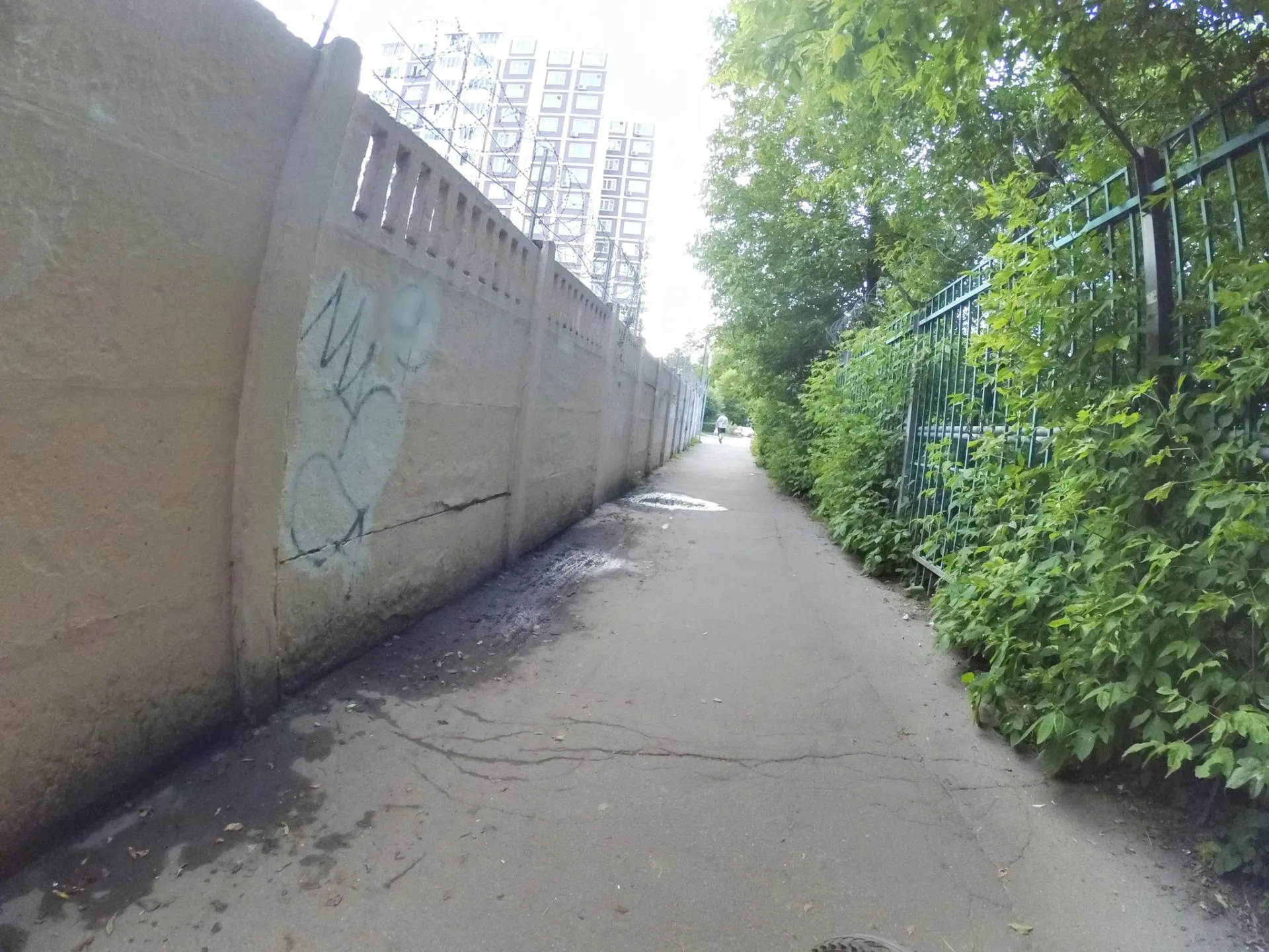 Маршрут «Красногорск — Спас», 34,0 км